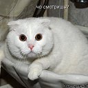  Apologize, , 57  -  13  2013   