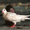 ���� �������., ������, 57 ��� - ��������� 19 ������� 2013 � ������ ���� ����������