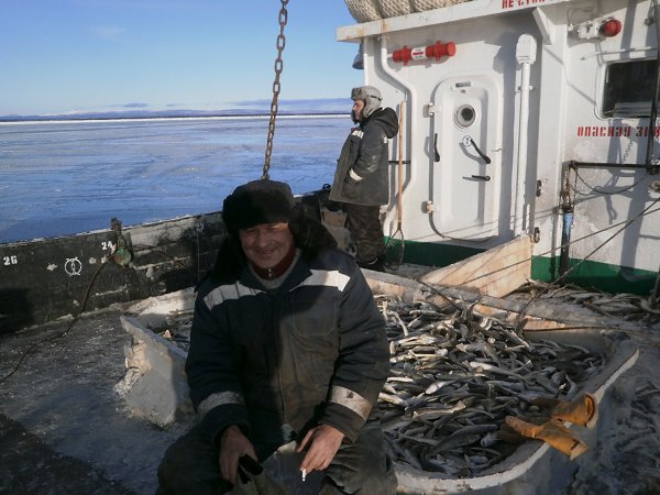 Поронайск рп 5. Поронайск Сахалин. Фортуна Поронайск. САХЛАЙН Поронайск. Орбита Поронайск.