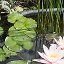 ��� ������� ��� �� ������� ���� ����������