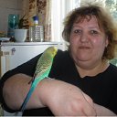 ���� �������, ���������, 65 ��� - ��������� 25 �������� 2013 � ������ ���� ����������