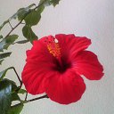 ��������� ���� �� ������� ���� ����������