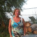 ������ 2013�.