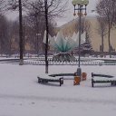 ������ ����� �� ������� ���� ����������