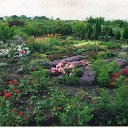 ���� ����, �������������� - ��������� 11 ������� 2014 � ������ ���� ������������