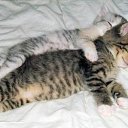 ���� �����, ������, 39 ��� - ��������� 6 ����� 2014 � ������ ������ ��������