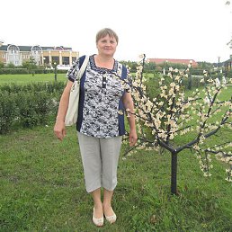 ��������, �����, 64 ����