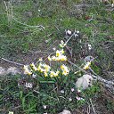 ���� ������, ����������, 63 ���� - ��������� 8 ������ 2014 � ������ ���� ����������