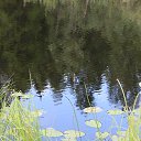 ���� ���������, ����������� - ��������� 29 �������� 2013 � ������ ���� ����������