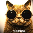 ���� ������, ������, 47 ��� - ��������� 27 ������� 2013 � ������ ���� ����������