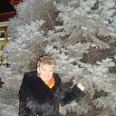 ���� �������, ������������, 85 ��� - ��������� 12 ������ 2014 � ������ ���� ����������