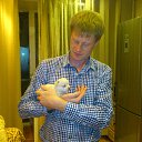 ���� �������, �����, 43 ���� - ��������� 15 ������ 2013