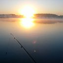 ���� ���������, ������, 40 ��� - ��������� 20 ������� 2014 � ������ ���� ���� ������