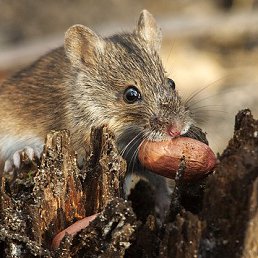 ���� ������ �����, �����-���������, 46 ��� - ��������� 8 ������ 2014