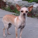 ���� ����, ������� - ��������� 6 ������� 2014 � ������ ���� ����������