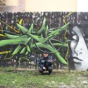 ���� ������ �����, ��������, 39 ��� - ��������� 5 �������� 2013 � ������ ���� ����������