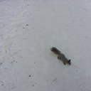  ,  -  26  2014     ,  