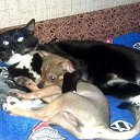 ���� ������, �����-��������� - ��������� 8 ������ 2014 � ������ ���� ����������