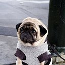 ���� Imp, ������� - ��������� 23 ������� 2013 � ������ �mops�