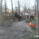 ���� �����, ������, 61 ��� - ��������� 6 ����� 2014 � ������ �������������. ������� ����������