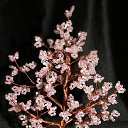 ���� �����, �����, 64 ���� - ��������� 20 ������� 2014 � ������ ���� ��������߻