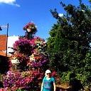 ���� �����, ������, 67 ��� - ��������� 30 �������� 2013 � ������ ���� ����������