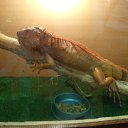 ���� ��������, ������, 30 ��� - ��������� 26 ������ 2014 � ������ ���� ����������