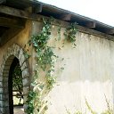 ���� Nattis, ������, 58 ��� - ��������� 20 ������ 2013 � ������ ���������Ļ