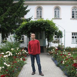 Aleksander, �����, 38 ���