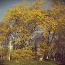 ���� ��������, �����-���������, 37 ��� - ��������� 21 ������� 2013 � ������ �������������