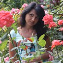 ���� �����, ������, 55 ��� - ��������� 8 ������� 2013 � ������ ���� ����������