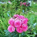 ���� ������� �., ����� - ��������� 5 ������� 2013 � ������ �������