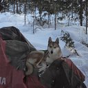 ���� �����, �����������-��-�����, 48 ��� - ��������� 15 ������ 2014 � ������ ���� ����������