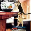 Say HAPPY NEW YEAR to The Fish from me too. �� ������� ������ ��������
