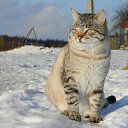 ���� ������, ��������, 59 ��� - ��������� 8 ������ 2014 � ������ ���� ����������