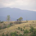 ���� Plamen Malchev, �����, 63 ���� - ��������� 28 ������� 2013 � ������ ���� ����������