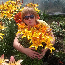 ���� �������, ����-���������, 52 ���� - ��������� 15 ������ 2014