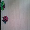 ������� �� ������� ���� ����������