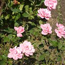 ���� �� ����. �� ������� ���� ����.�