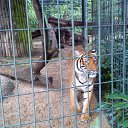 ���� ������, ������������, 68 ��� - ��������� 23 ������� 2013 � ������ ���� ����������