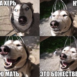 ���, �����-���������, 37 ���