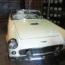 ���� ������, ������������, 43 ���� - ��������� 11 �������� 2013 � ������ ���� ����������