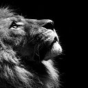 ���� ��������, ������ - ��������� 15 ����� 2014 � ������ ������ ��������