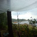 ���� �������, ���������, 46 ��� - ��������� 22 ������ 2014 � ������ ���� ����������