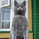 ���� ���, ���������, 23 ���� - ��������� 24 ������� 2013 � ������ ������ ��������