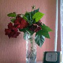 ���� Zarina, ������, 75 ��� - ��������� 7 ������� 2013 � ������ ���� ����������
