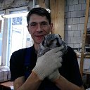 ���� �����, �����-���������, 56 ��� - ��������� 6 ������ 2013