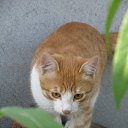 ���� ���������, ���������� - ��������� 13 ������� 2013 � ������ ������