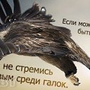 ���� ������, �����, 35 ��� - ��������� 25 ������� 2014 � ������ ���� ����������