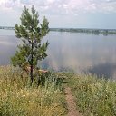 ���� ���������, ���������, 74 ���� - ��������� 18 ������� 2013 � ������ ���� ����������